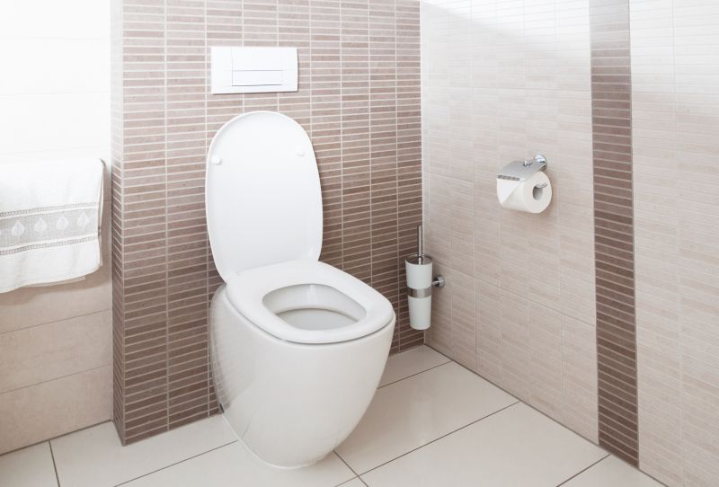 Bidet Repair Service in Denver, CO